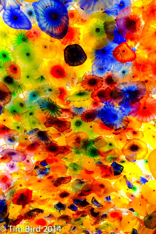 The ceiling of the reception at the Bellagio Hotel/Resort/Casino features an extraordinary installation of 2,000 hand-blown glass flowers, the Fioro di Como by Dale Chihuly. 