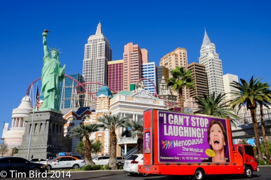 The Strip consists of a string of re-created cities, from Venice complete with a Grand Canal and gondoliers to Paris with its Eiffel Tower and, pictured here, New York New York. Ridiculous.