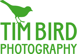 TimBirdlogogreencopy