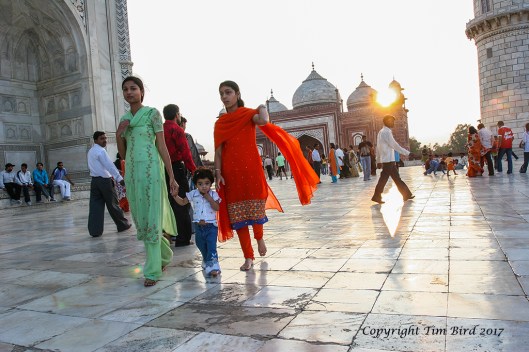 india-agra-taj-mahal